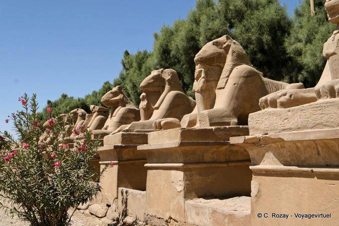 Esfinges con cabeza de carnero callejón a la entrada de Karnak sitio - Egipto