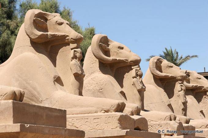 Esfinges con cabeza de carnero, deidades con cabeza de carnero del panteón egipcio, templo de Karnak - Egipto