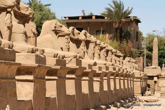 La alineación de los dromos Sphynx, el templo de Karnak - Egipto