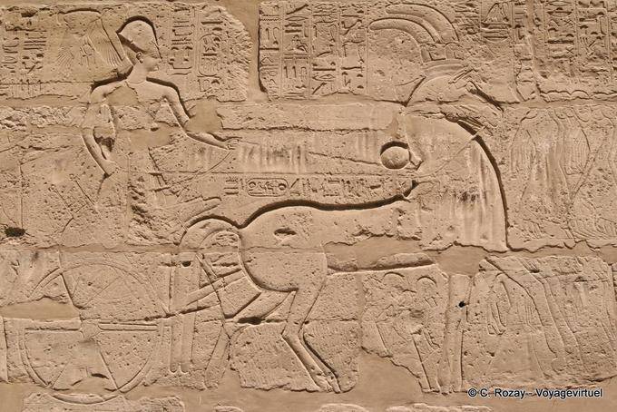 Faraón fresco al volante de su carro, templo de Karnak - Egipto