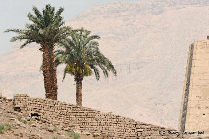 Palmeras detrás de un antiguo muro, Medinet Habu - Egipto