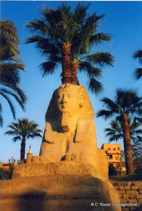 Cabeza de la esfinge del rey Nectanebo, Templo de Luxor - Egipto