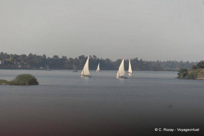 Falúas Regatta en el Nilo - Egipto