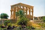 Palma antes de la cabina lujosa Trajano, Philae, Egipto.