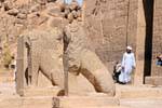 Leones custodiaban el templo de Isis, el Templo de Philae, Egipto.