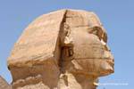 La cabeza de la Esfinge, Giza, Egipto.