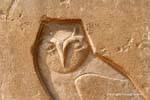 Búho tallado, símbolo de la sabiduría, Saqqara, Egipto.