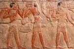 Procesión de hombres que llevaban ofrendas, fresco, Mastaba de Mereruka, Saqqara, Egipto.