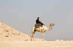 Camel Policía, Saqqara, Egipto.
