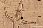 Faraón Ptolomeo XII en enemigos por los cabellos, el alivio de pilón, el templo de Edfu, Egipto.