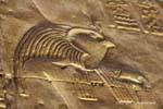Perfil de Horus en el Santo de los Santos, Edfu, Egipto.