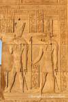 Templo de Kom Ombo, Horus, el dios halcón y Sobek, el dios cocodrilo ouas cetro, Egipto.