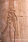 Ombligo y la reina tapón sobre una columna de la sala hipóstila, templo de Kom Ombo, Egipto.