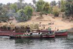 Cargando cultivos en barcazas, a orillas del Nilo, cerca de Luxor, Egipto.