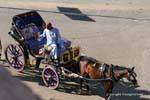 Caléche de Luxor, en espera del cliente, Egipto.