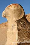Jefe de una estatua gigante de Horus, Templo de Hatshepsut, Egipto.