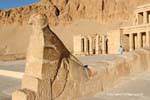 La estatua halcón dios Horus en la rampa del segundo patio del templo de Hatshepsut, Egipto.