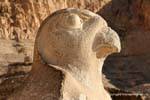 Hawk Perfil Horus, Templo de Hatshepsut, Egipto.
