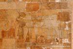 Templo de Hatshepsut, un niño de beber la leche de la ubre sagrado, Egipto.
