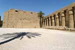 Bajo las palmeras en el patio frente al segundo pilono, el templo de Karnak, Egipto.