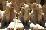 Patas de león de la Esfinge rams en el Faraón, el templo de Karnak, Egipto.