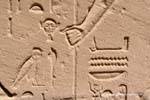 De cerca los detalles de un alivio, cabeza, búho y de la mano Templo de Karnak, Egipto.