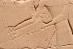 Fragmento del relieve, el brazo que sostiene las riendas, el templo de Karnak, Egipto.