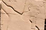 Perfil faraón con barba postiza y una corona Deshret, Karnak, Egipto.