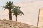 Palmeras detrás de un antiguo muro, Medinet Habu, Egipto.