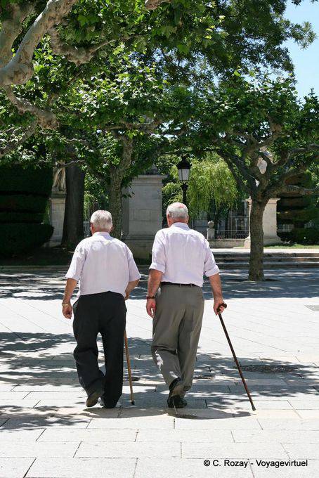 Los dos primeros de caña, Burgos - España