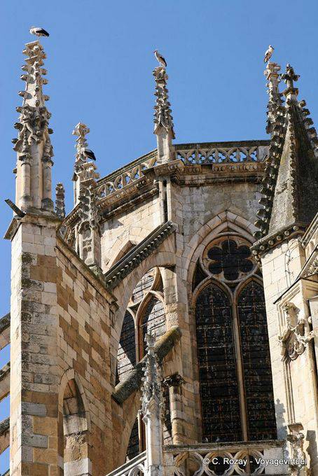 Cigüeñas en la Catedral de León - España
