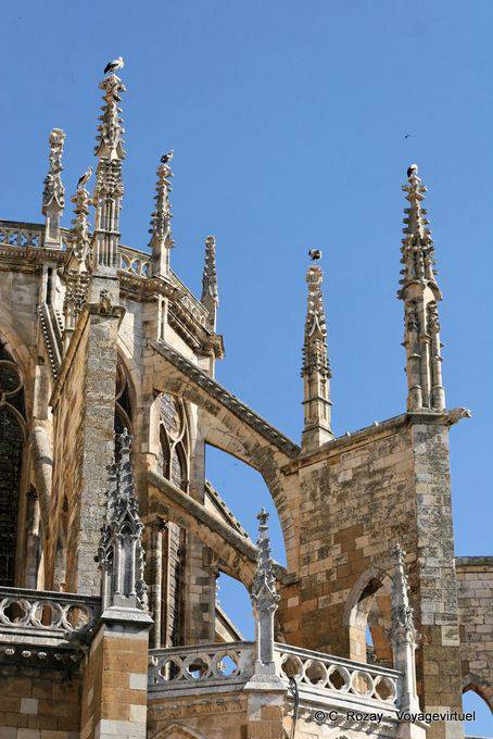 Otro punto de vista de las cigüeñas instalado en el encaje de piedra, Catedral de Notre Dame de León - España