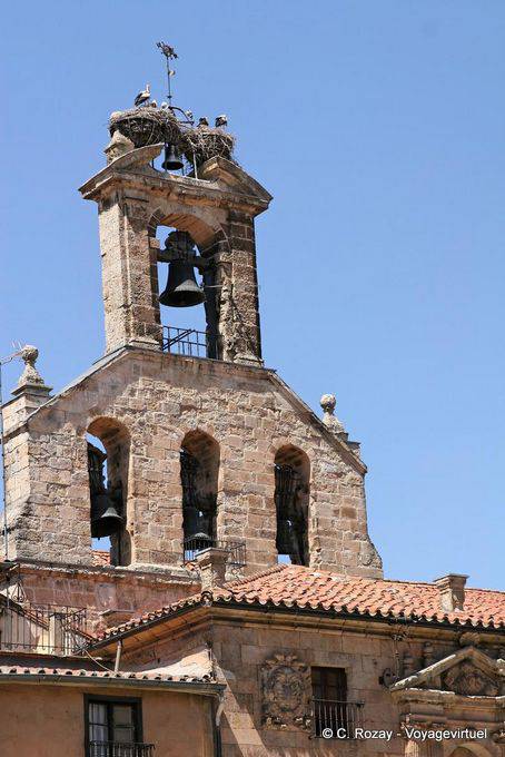 Las cigüeñas han establecido sus nidos en una torre, Salamanca - España