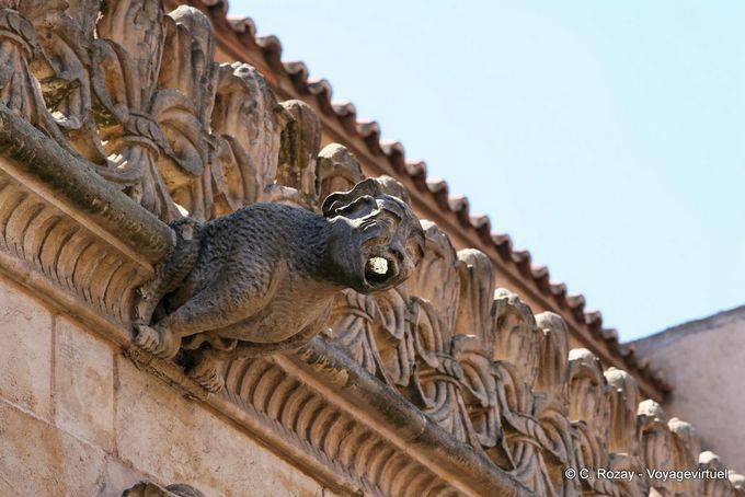 Cremoso Gárgola, Las Escuelas Menores, Salamanca - España