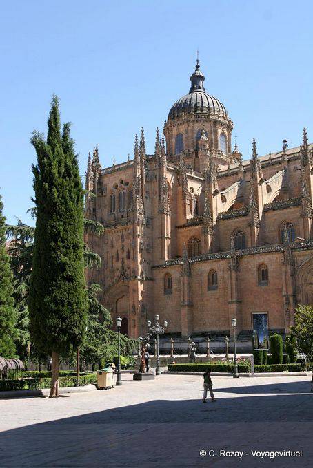 Vista general, Catedral Nueva de la Asunción de la Virgen, Salamanca - España