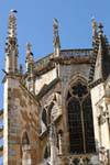 Cigüeñas en la Catedral de León, España.