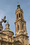 Paloma del vuelo a Torres del Pilar, Zaragoza, España.