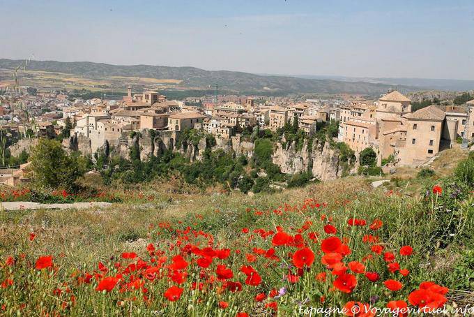 Amapolas Cuenca, Panorama - España