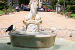 Palomas en la fuente con delfines, Parque Canalejas, Alicante, España.