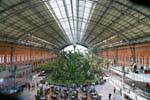 Madrid, jardín tropical en la estación de Atocha, España.