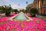 Murcia, jardín en frente de la Casa Consistorial, España.