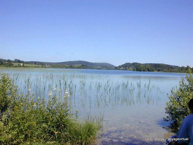 La vegetación en la orilla del lago Ilay (Jura) - Franco Condado, Francia