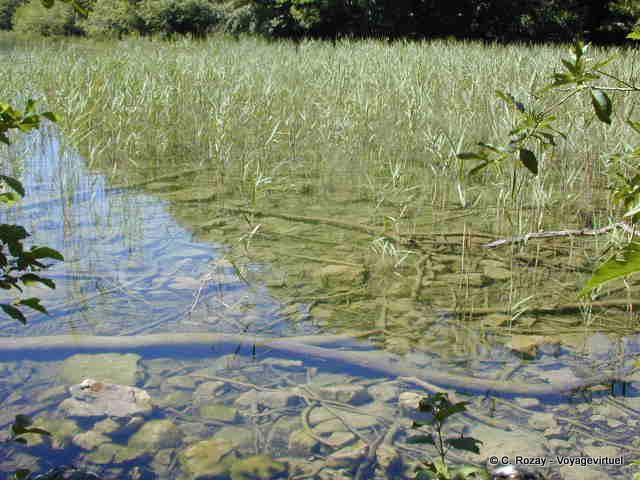 Jura, entre los lagos de Grand y el Petit Maclu - Franco Condado, Francia