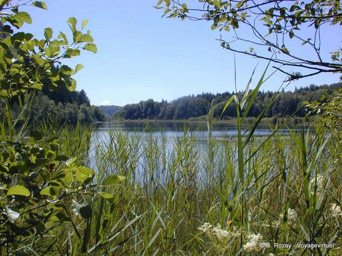 Lac du Petit Maclu, desierto, Jura - Franco Condado, Francia