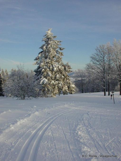 Solitude senderos de esquí de fondo, Haut-Doubs - Franco Condado, Francia