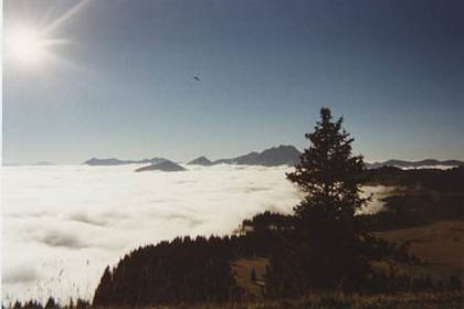 Fog in valley Alpes