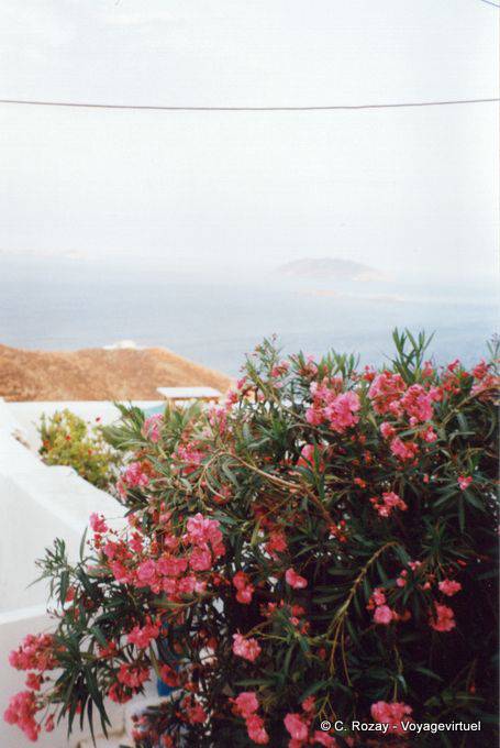 Ramo de Rose y la niebla en el mar de Chora, Isla de Anafi - Grecia