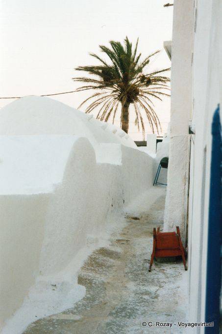 Palmera en la cal, Chora, Anafi - Grecia