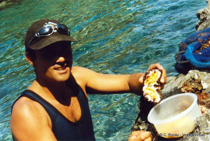 Salvaje Anafi ostra comida marina - Grecia