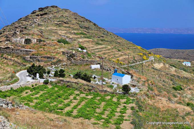 Serifos, Sikamia, viñedos y colinas - Grecia